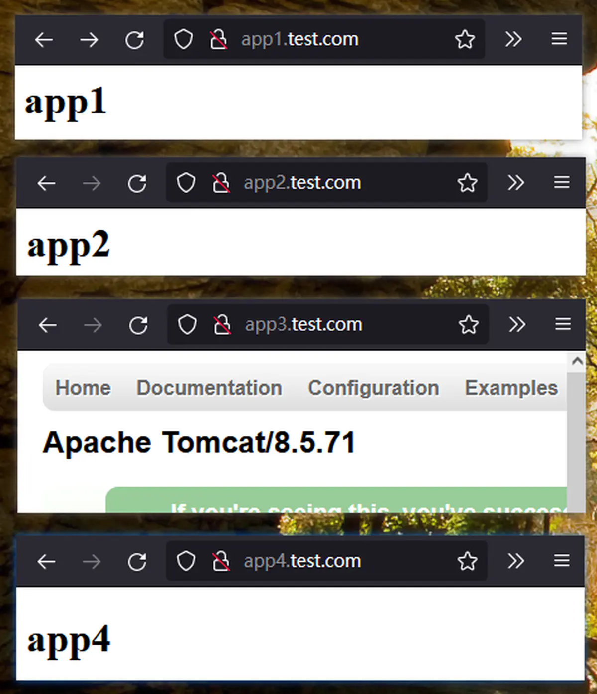 1009h.png